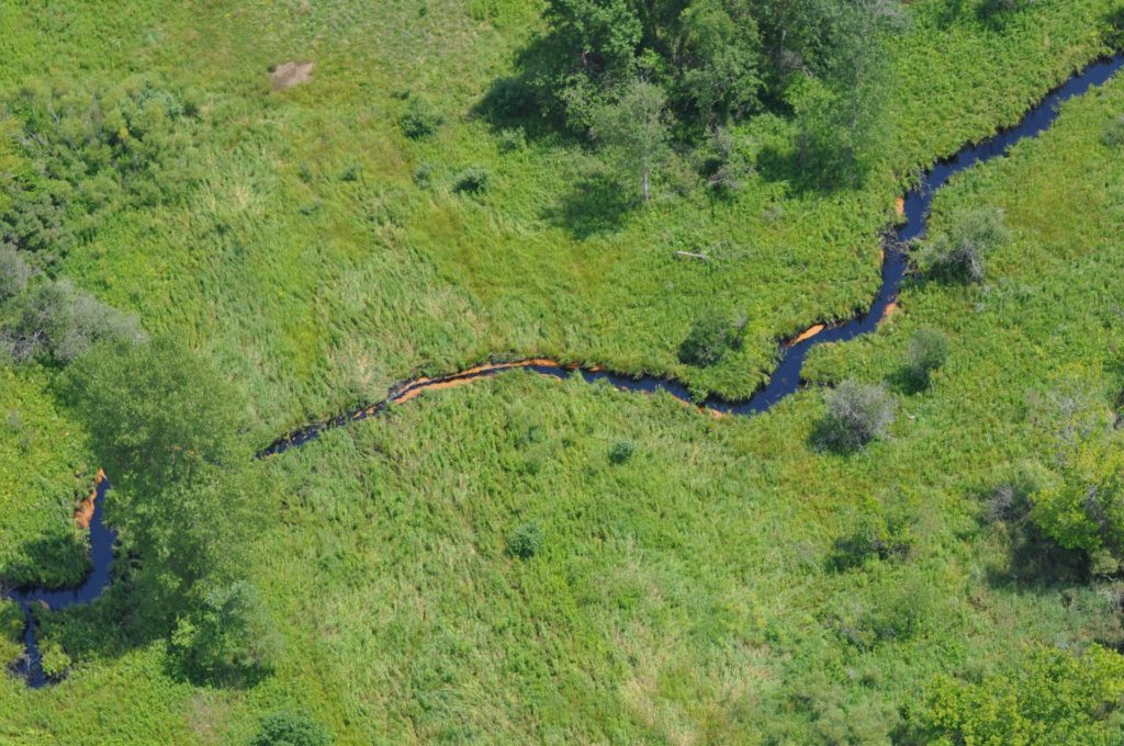 Talmage Creek Oil Spill